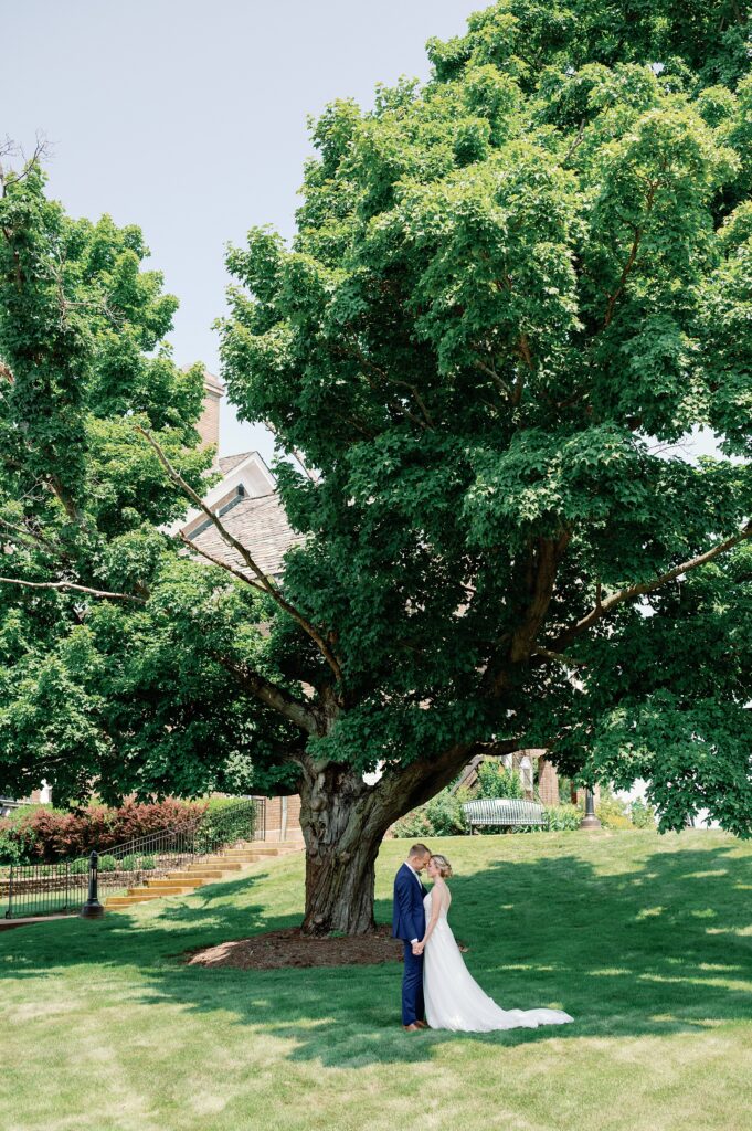 Bride and Groom standing forehead to forehead while under a very large tree