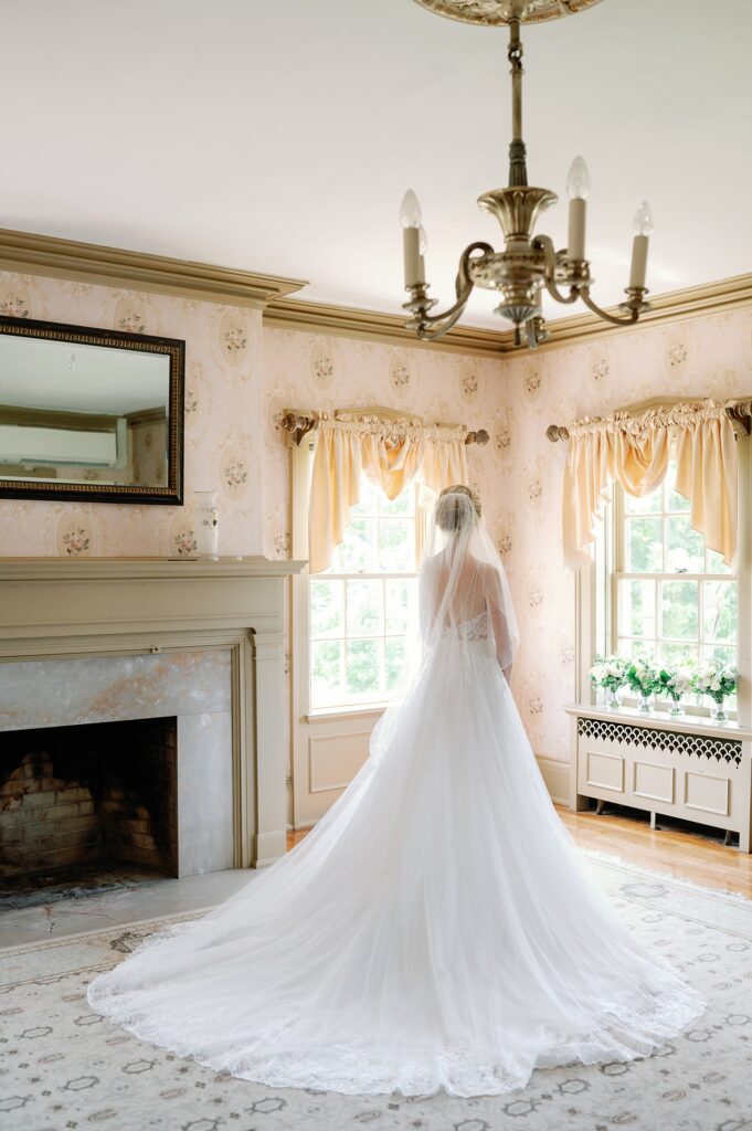 portrait of a bride from behind.